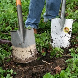 Gartenarbeiten im Jahresverlauf